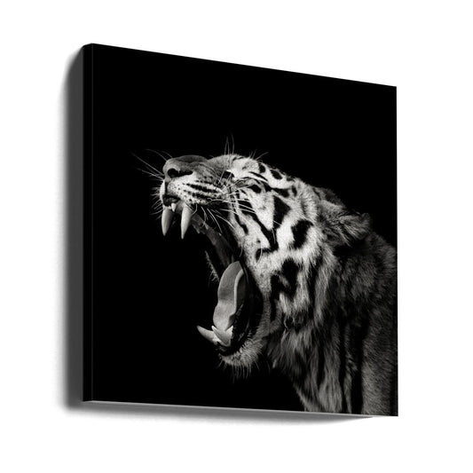 Primal Yawn Black & White Animal Photography Canvas Print Picture Wall Art - 1X1653715 - Art Fever - Art Fever