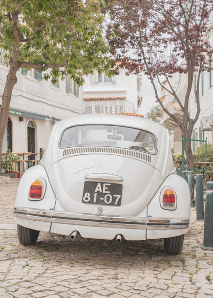 White Beetle on Cobblestone Canvas Print Wall Art 1X2711032