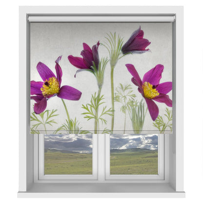 Pulsatilla Printed Picture Photo Roller Blind - 1X2050031 - Art Fever - Art Fever