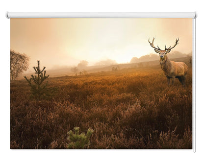 Red deer stag in the misty Field Printed Picture Photo Roller Blind - RB103 - Art Fever - Art Fever