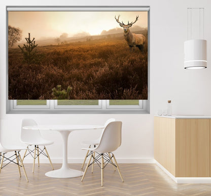 Red deer stag in the misty Field Printed Picture Photo Roller Blind - RB103 - Art Fever - Art Fever