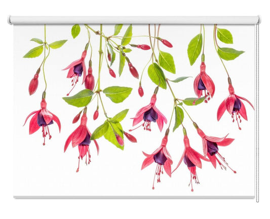 Red Fuchsia Bloom Printed Picture Photo Roller Blind - 1X1747986 - Art Fever - Art Fever