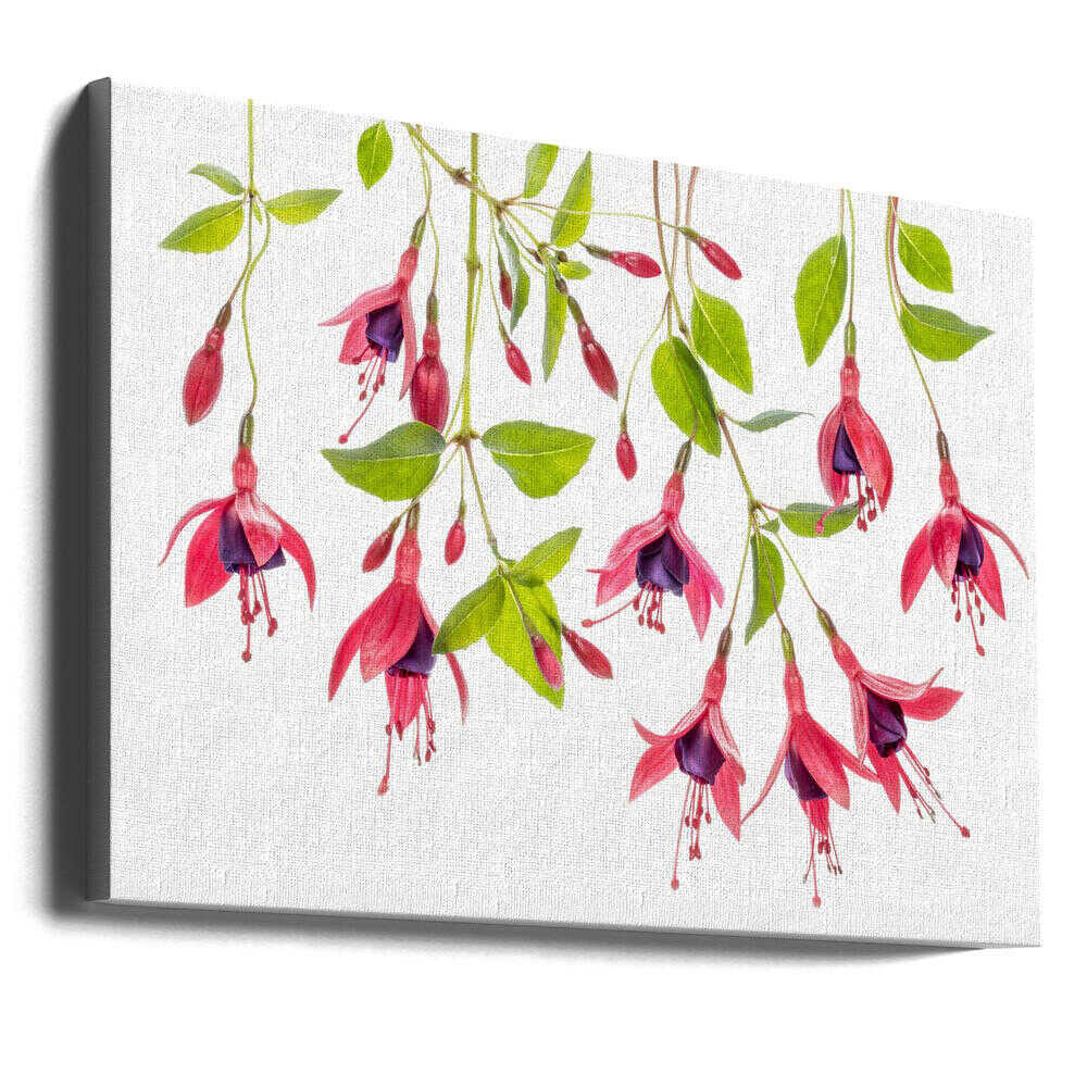 Red Fuchsia Floral Art Canvas Print Wall Art 1X1747986 - ART FEVER - Art Fever