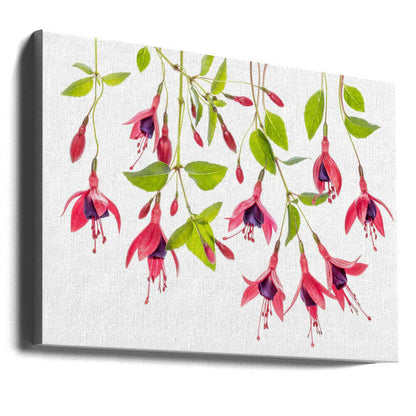 Red Fuchsia Floral Art Canvas Print Wall Art 1X1747986 - ART FEVER - Art Fever