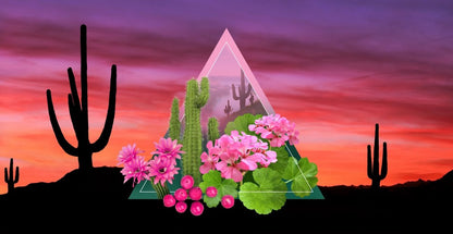 San Ignacio Lagoon Fragrance Oil - LORDS Fragrance House - Art Fever