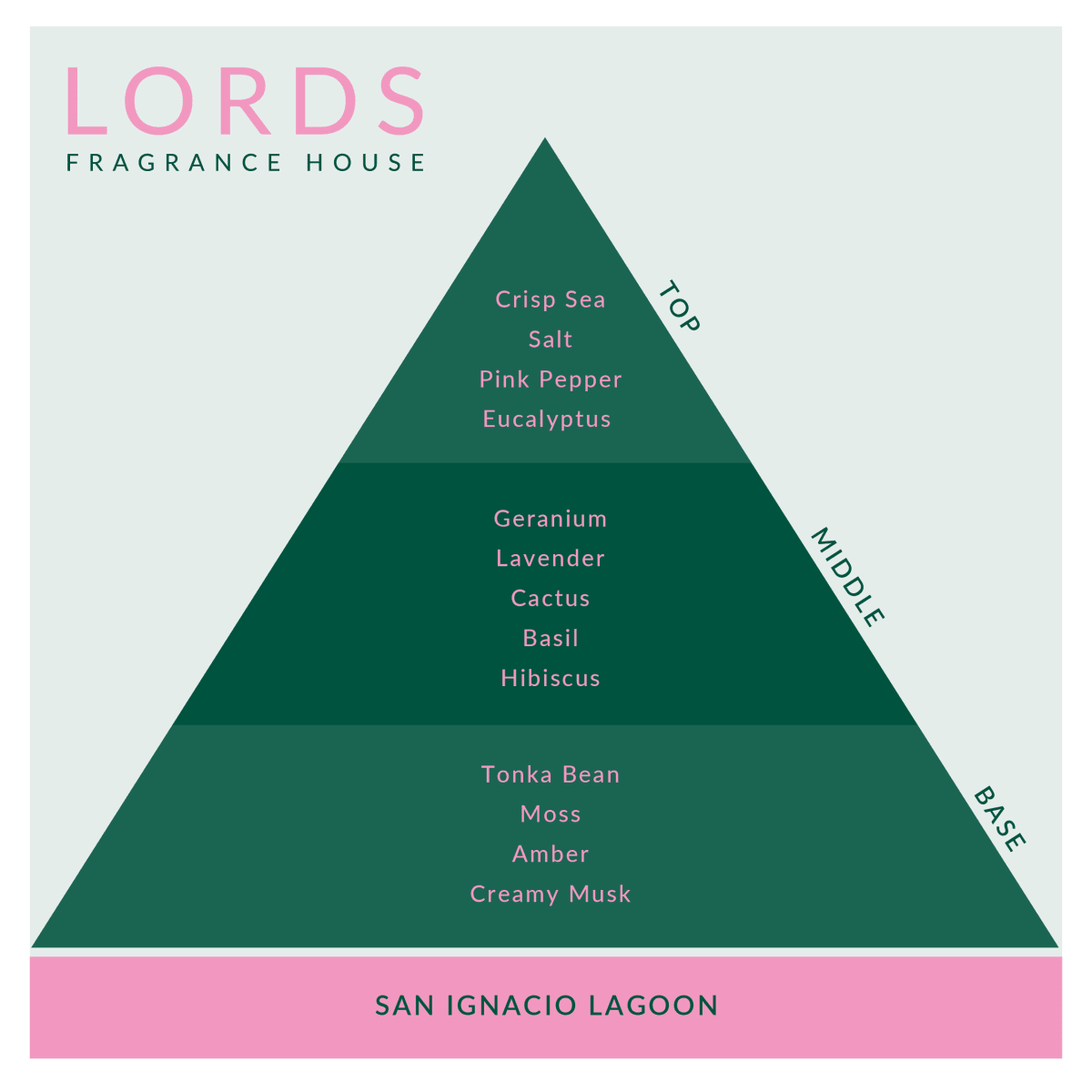San Ignacio Lagoon Fragrance Oil - LORDS Fragrance House - Art Fever