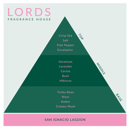 San Ignacio Lagoon Fragrance Oil - LORDS Fragrance House - Art Fever