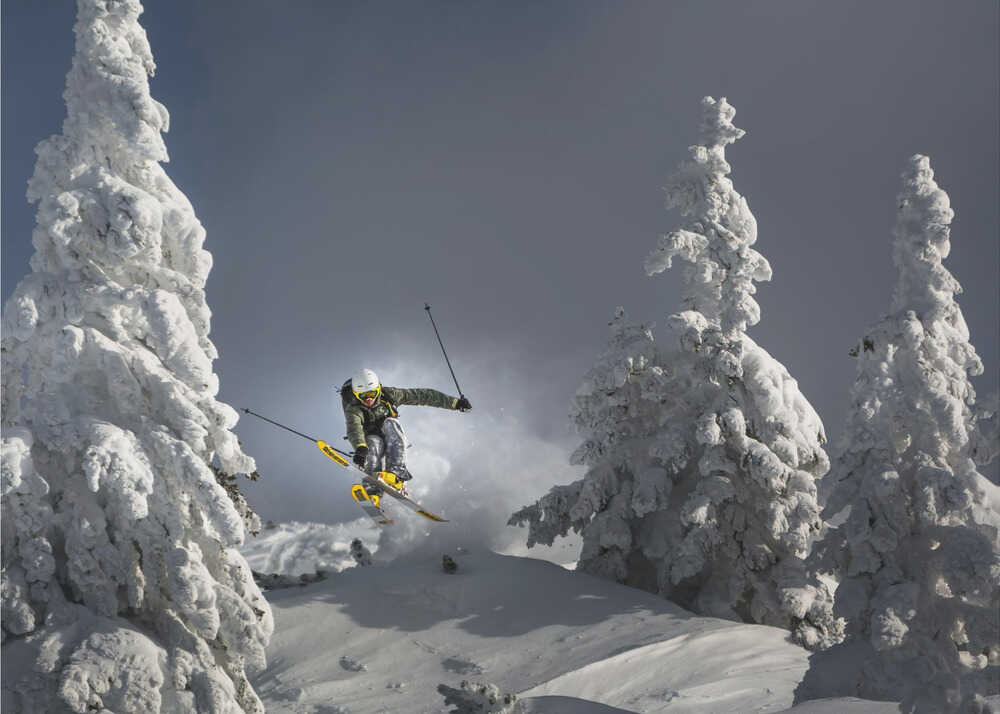 Ski is life Canvas Print Wall Art 1X1683469 - ART FEVER - Art Fever