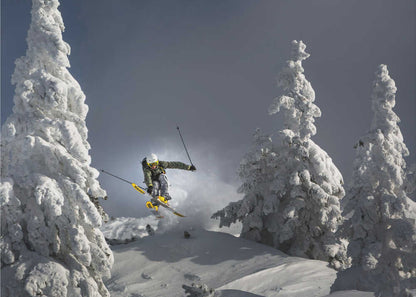 Ski is life Canvas Print Wall Art 1X1683469 - ART FEVER - Art Fever