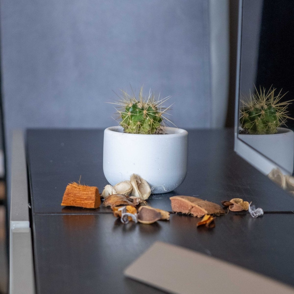 Small White Concrete Dolphin Pot - Gloria Home - Art Fever