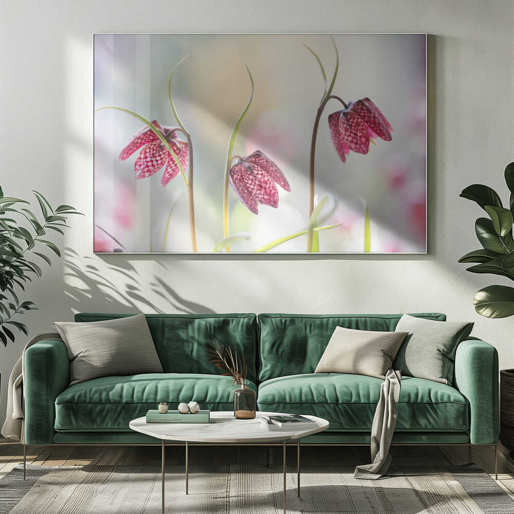 Snakes head Fritillary Chessboard Blooms Canvas Print Wall Art 1X1317043 - ART FEVER - Art Fever