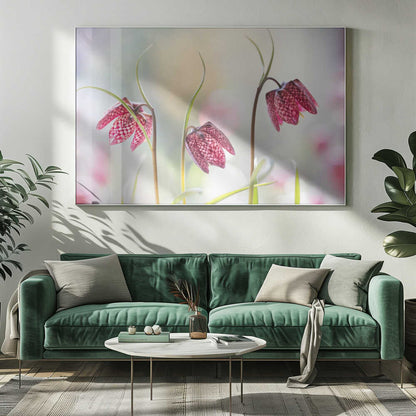 Snakes head Fritillary Chessboard Blooms Canvas Print Wall Art 1X1317043 - ART FEVER - Art Fever