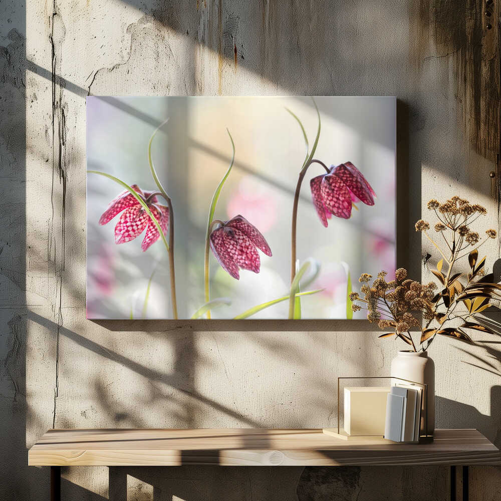 Snakes head Fritillary Chessboard Blooms Canvas Print Wall Art 1X1317043 - ART FEVER - Art Fever
