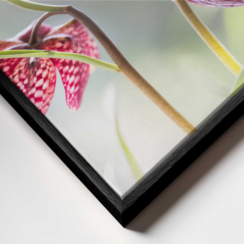 Snakes head Fritillary Chessboard Blooms Canvas Print Wall Art 1X1317043 - ART FEVER - Art Fever