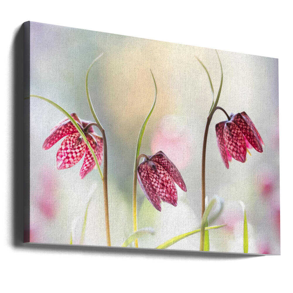 Snakes head Fritillary Chessboard Blooms Canvas Print Wall Art 1X1317043 - ART FEVER - Art Fever