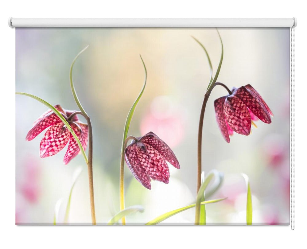 Snakes head Fritillary Printed Picture Photo Roller Blind - 1X1317043 - Art Fever - Art Fever