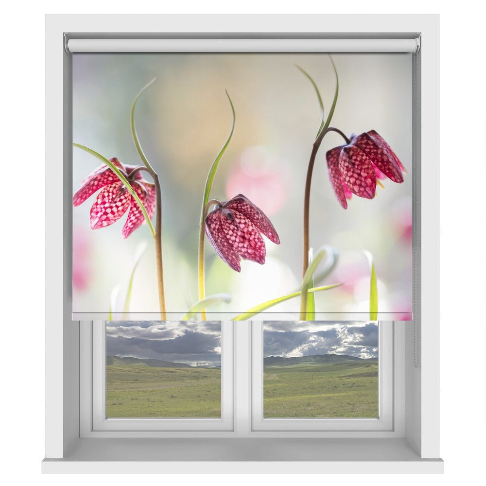 Snakes head Fritillary Printed Picture Photo Roller Blind - 1X1317043 - Art Fever - Art Fever