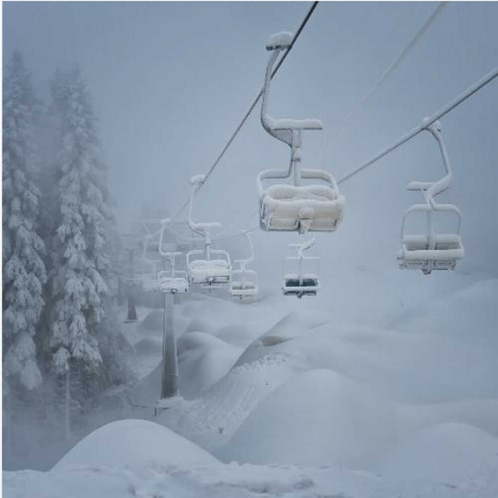 Snow Canvas Print Wall Art 1X563004 - ART FEVER - Art Fever