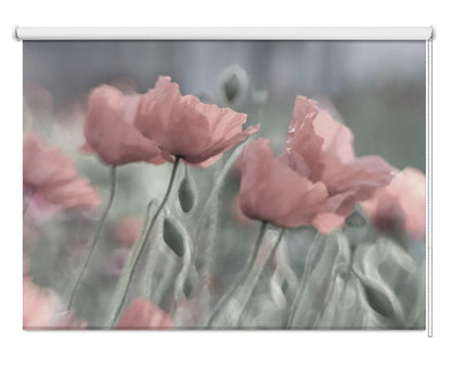 Softly Pink Poppies Printed Picture Photo Roller Blind - 1X676907 - Art Fever - Art Fever