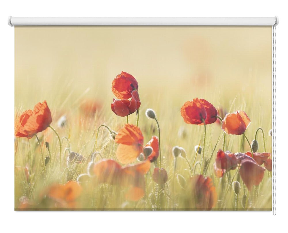 Spring mood Poppy Printed Picture Photo Roller Blind - 1X2524040 - Art Fever - Art Fever