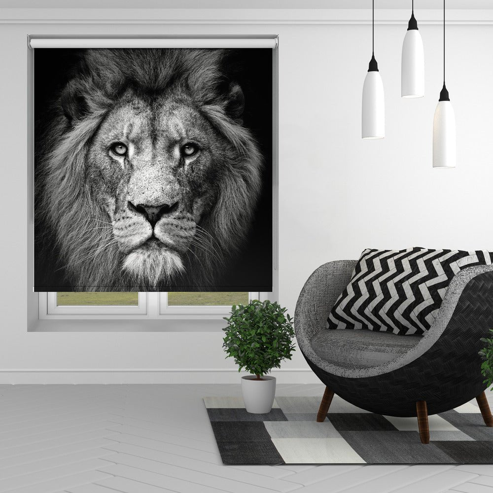 Stare Me Down Black & White Lion Printed Picture Photo Roller Blind - 1X2263213 - Art Fever - Art Fever
