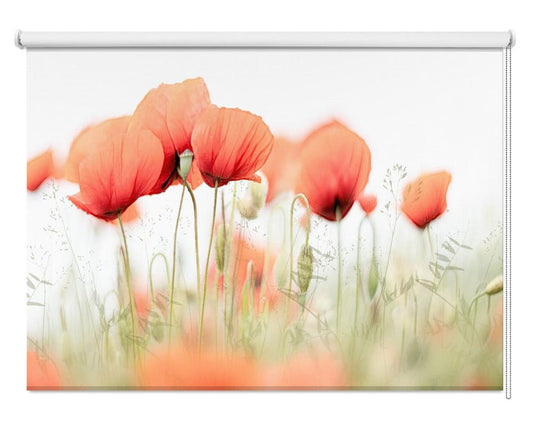 Summer Day Red Poppies Printed Picture Photo Roller Blind - 1X2088131 - Art Fever - Art Fever