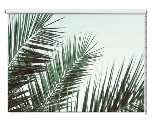 Summer Palm leaves Printed Picture Photo Roller Blind - 1X2103210 - Art Fever - Art Fever