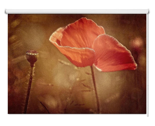 Summertime Poppy Printed Picture Photo Roller Blind - 1X1849649 - Art Fever - Art Fever