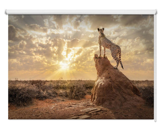 SundownCheetah Printed Picture Photo Roller Blind - 1X2244885 - Art Fever - Art Fever