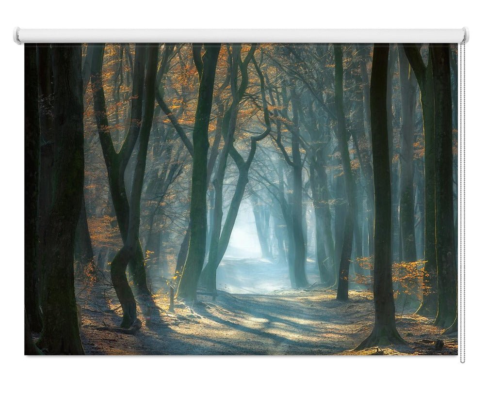 Sunlight Through the Forest Printed Picture Photo Roller Blind - 1X1662599 - Art Fever - Art Fever