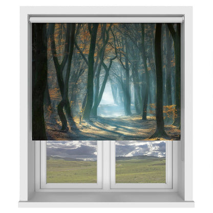 Sunlight Through the Forest Printed Picture Photo Roller Blind - 1X1662599 - Art Fever - Art Fever