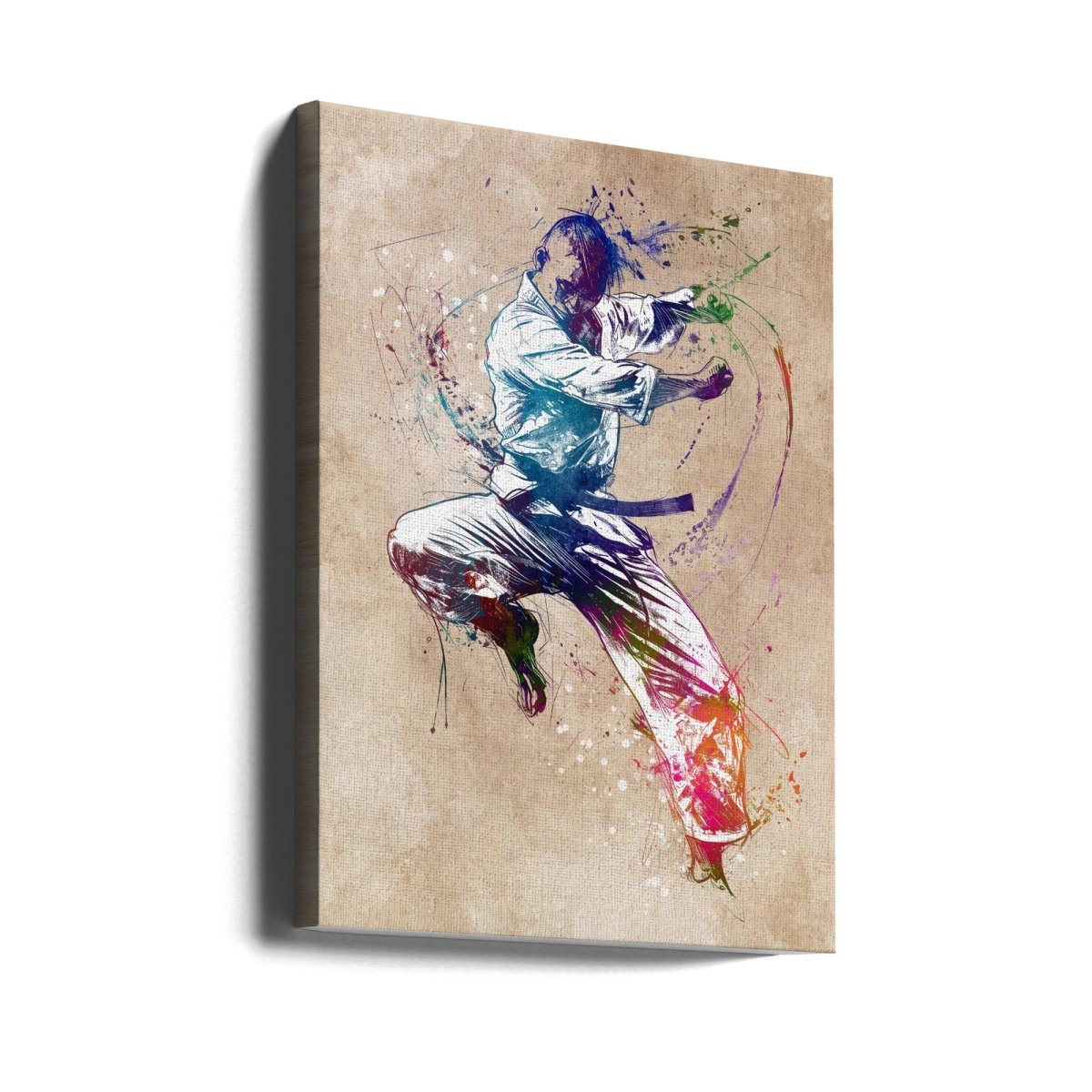 Taekwondo Art Canvas Print Wall Art 1X2874098 - ART FEVER - Art Fever