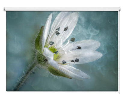 Teal Still Life Printed Picture Photo Roller Blind - 1X1736896 - Art Fever - Art Fever
