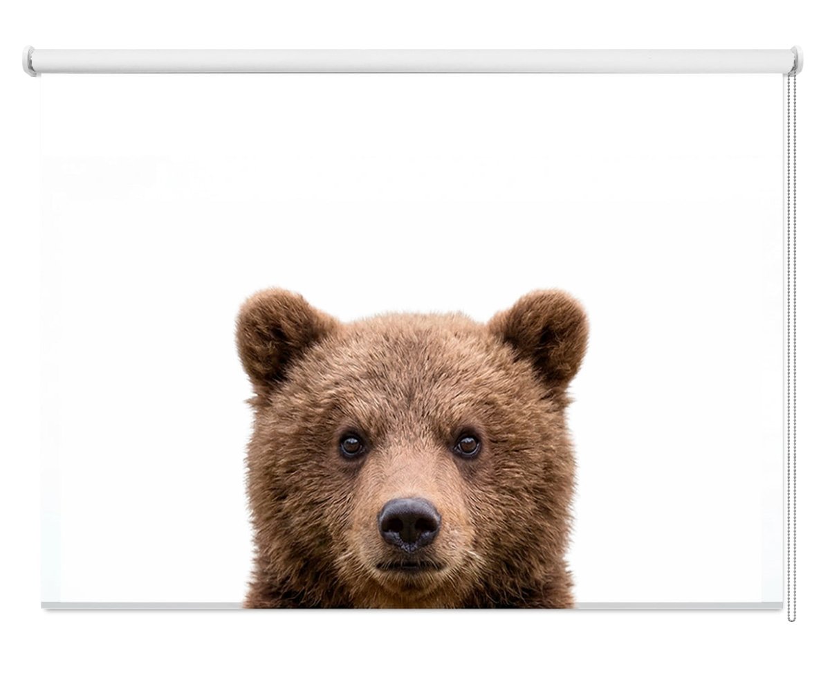 The Bear Peeking Animal Printed Picture Photo Roller Blind - RB1436 - Art Fever - Art Fever