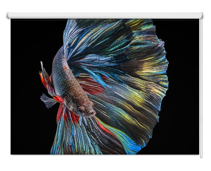 The Colourful Underwater Betta Fish Printed Picture Photo Roller Blind - 1X1590977 - Pictufy - Art Fever
