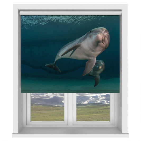 The Dolphin Bodyguard Printed Picture Photo Roller Blind - 1X1692690 - Art Fever - Art Fever