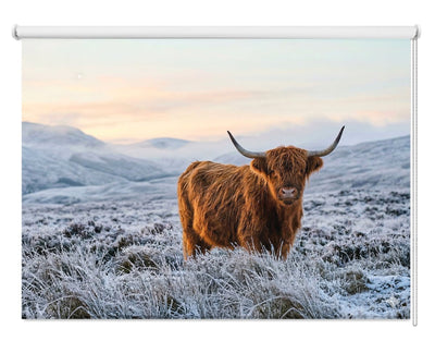 The Highland Cow Printed Picture Photo Roller Blind - RB1433 - Art Fever - Art Fever