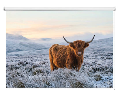 The Highland Cow Printed Picture Photo Roller Blind - RB1433 - Art Fever - Art Fever