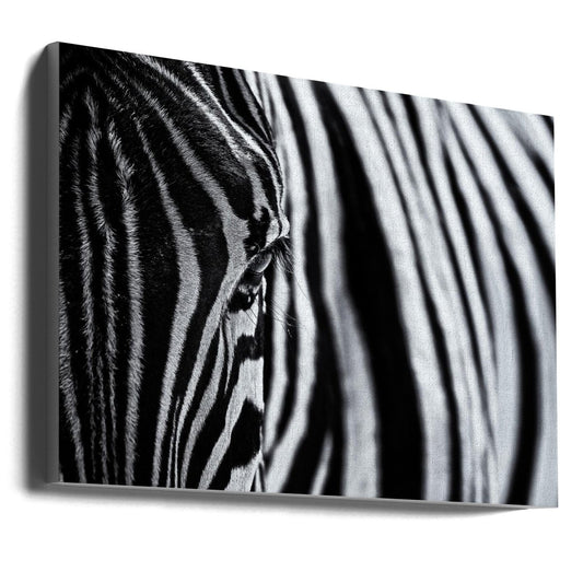 The Look of Nature Black & White Photography Canvas Print Picture Wall Art - 1X1151889 - Art Fever - Art Fever