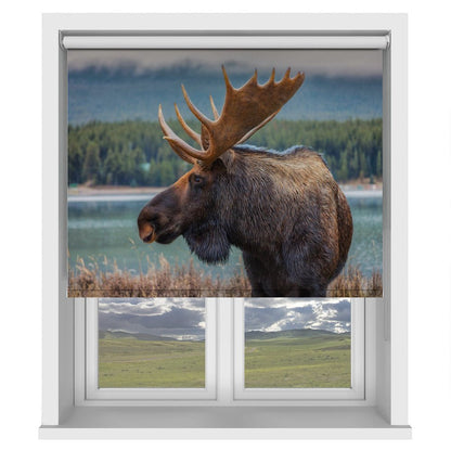 The Moose Printed Picture Photo Roller Blind - 1X2052090 - Art Fever - Art Fever