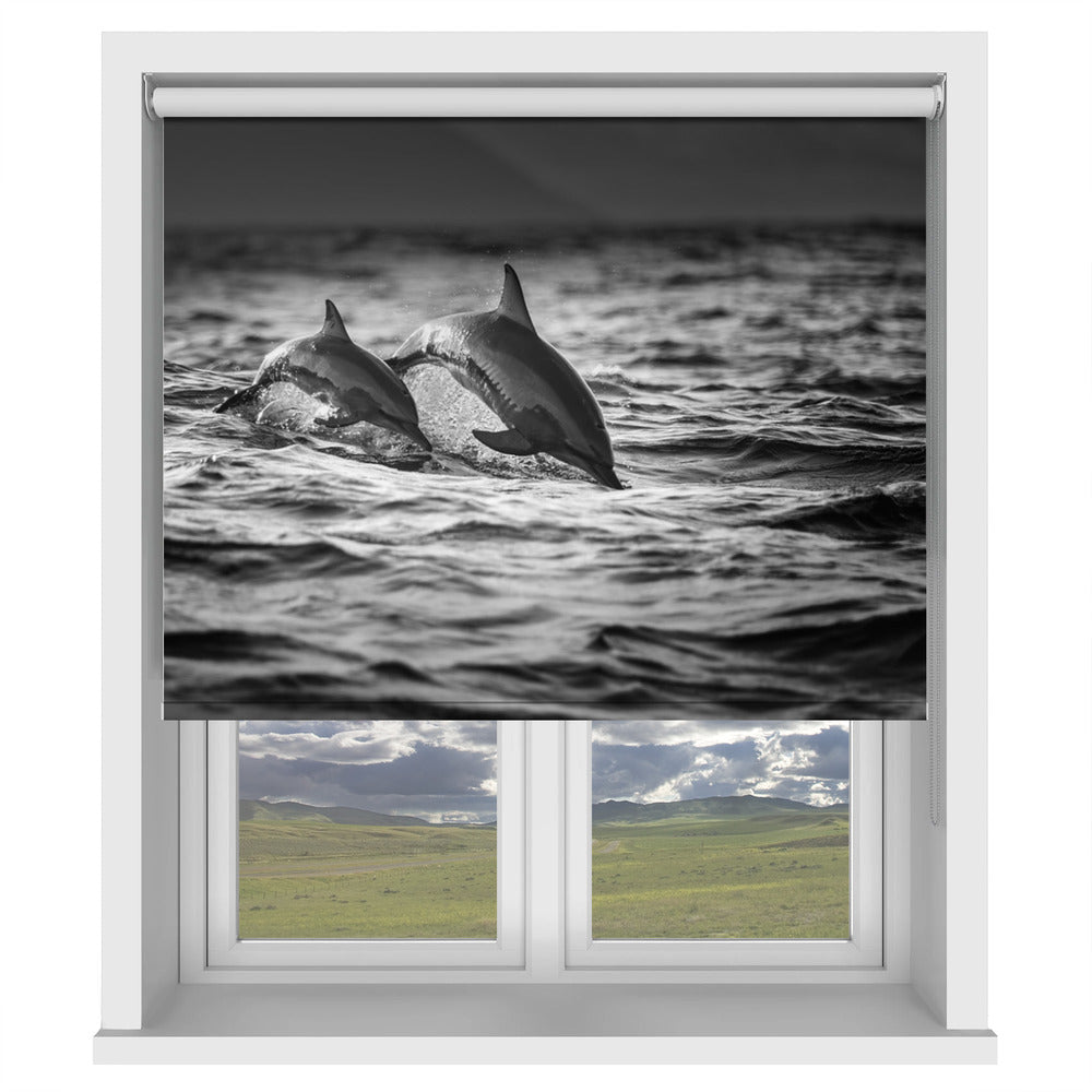 The Mother and the Baby Dolphins in the Sea Printed Picture Photo Roller Blind - 1X573213 - Art Fever - Art Fever