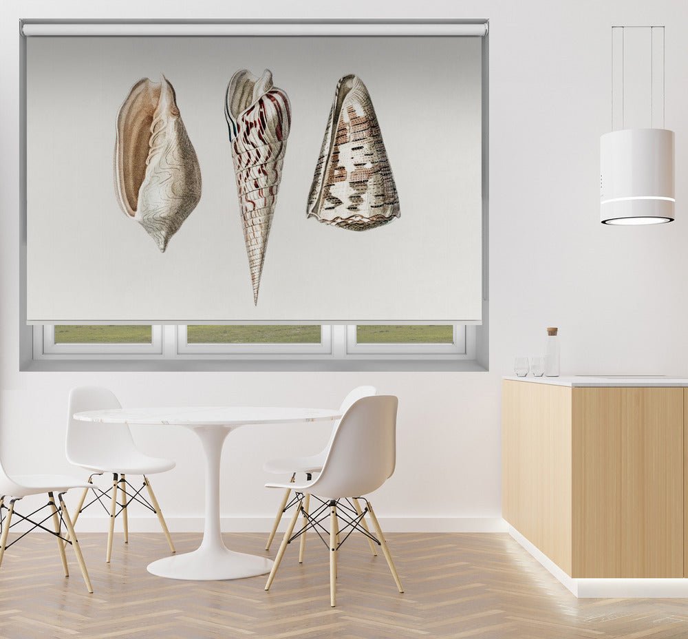 Three Mollusks Crop Printed Picture Photo Roller Blind - 1X2664331 - Art Fever - Art Fever
