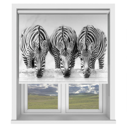 Three Zebras Printed Picture Photo Roller Blind - 1X1735579 - Art Fever - Art Fever