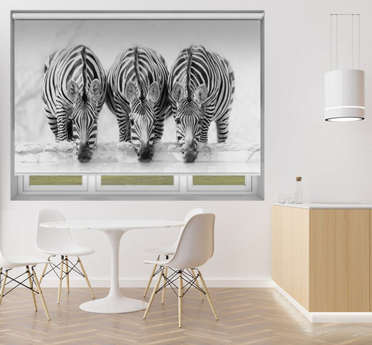 Three Zebras Printed Picture Photo Roller Blind - 1X1735579 - Art Fever - Art Fever