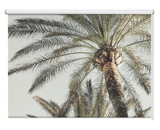 Tropical Palm Paradise Printed Picture Photo Roller Blind - 1X2192466 - Art Fever - Art Fever