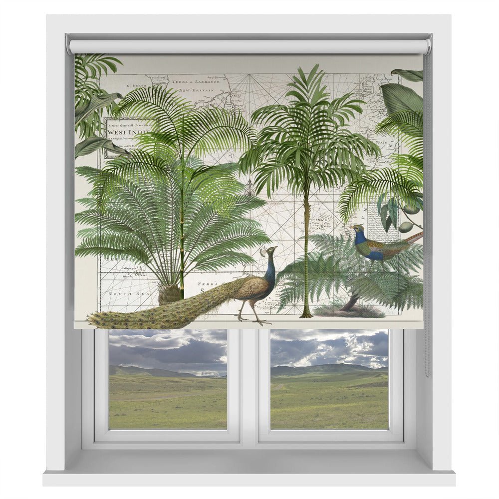 Tropical Peacock Empire No6 Printed Picture Photo Roller Blind - 1X2527778 - Art Fever - Art Fever