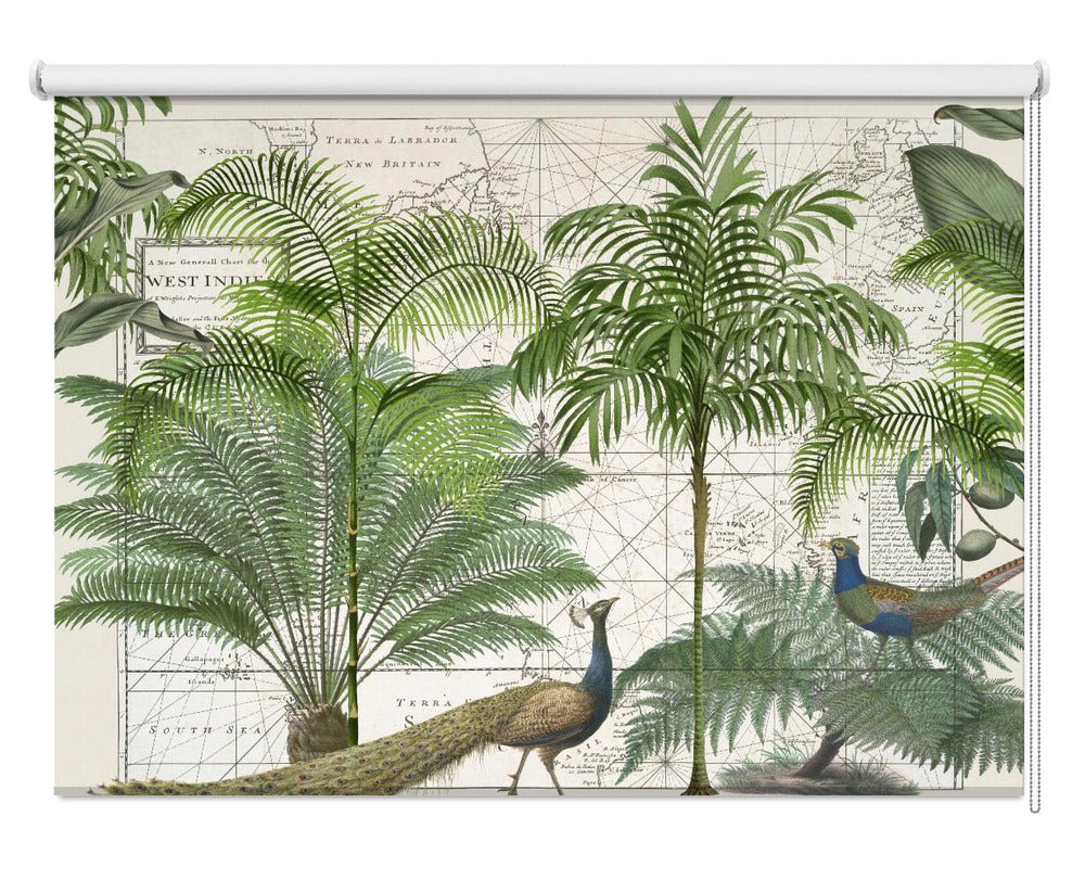 Tropical Peacock Empire No6 Printed Picture Photo Roller Blind - 1X2527778 - Art Fever - Art Fever