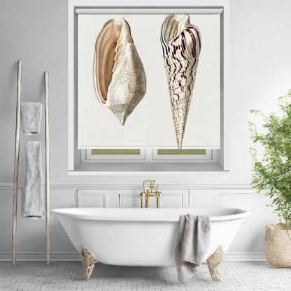 Two Mollusks Crop II Printed Picture Photo Roller Blind - 1X2664333 - Art Fever - Art Fever
