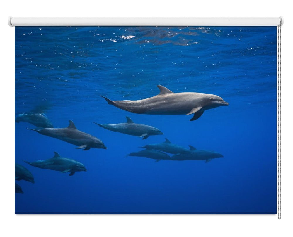 Underwater Dolphins Printed Picture Photo Roller Blind - 1X1100144 - Art Fever - Art Fever