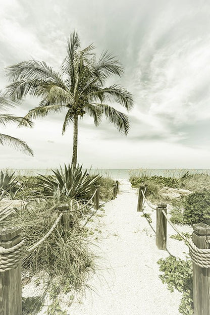 Vintage path to the beach Canvas Print Picture Wall Art - 1X2727849 - Art Fever - Art Fever